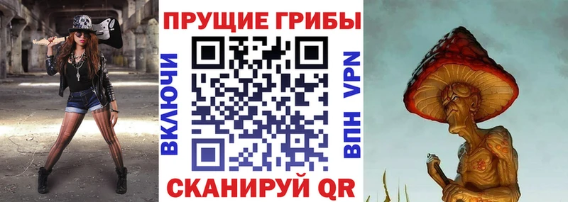 продажа наркотиков  Апшеронск  Галлюциногенные грибы MAGIC MUSHROOMS 
